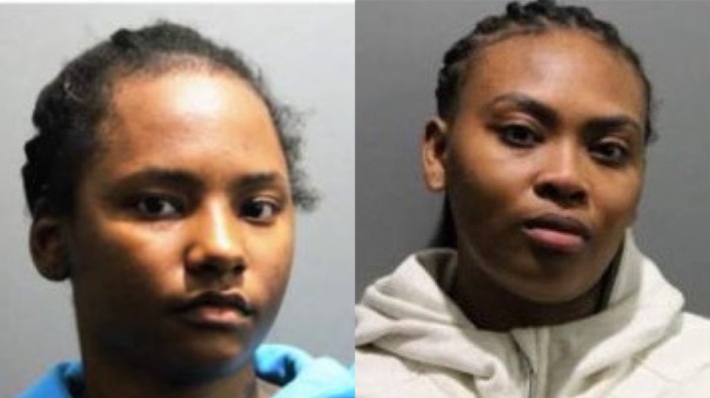 CHICAGO WOMEN FACE FELONY CHARGES AFTER STEALING $17K IN CLOTHING FROM ...